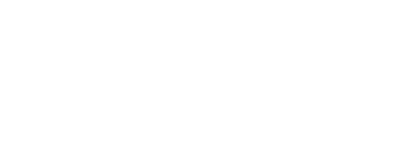 B & V Tree & Landscape Services
