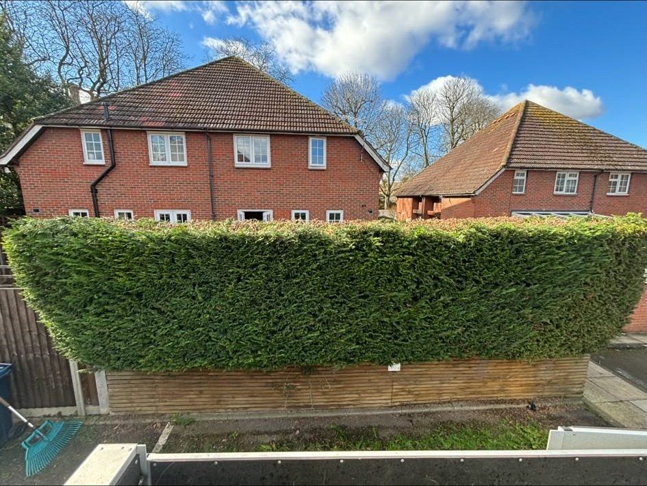 Front hedge cut flat across the top