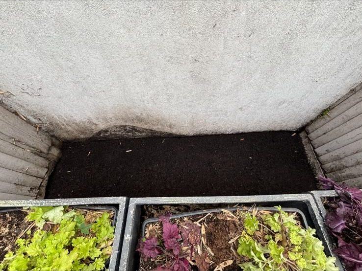 Border stripped back to bare soil