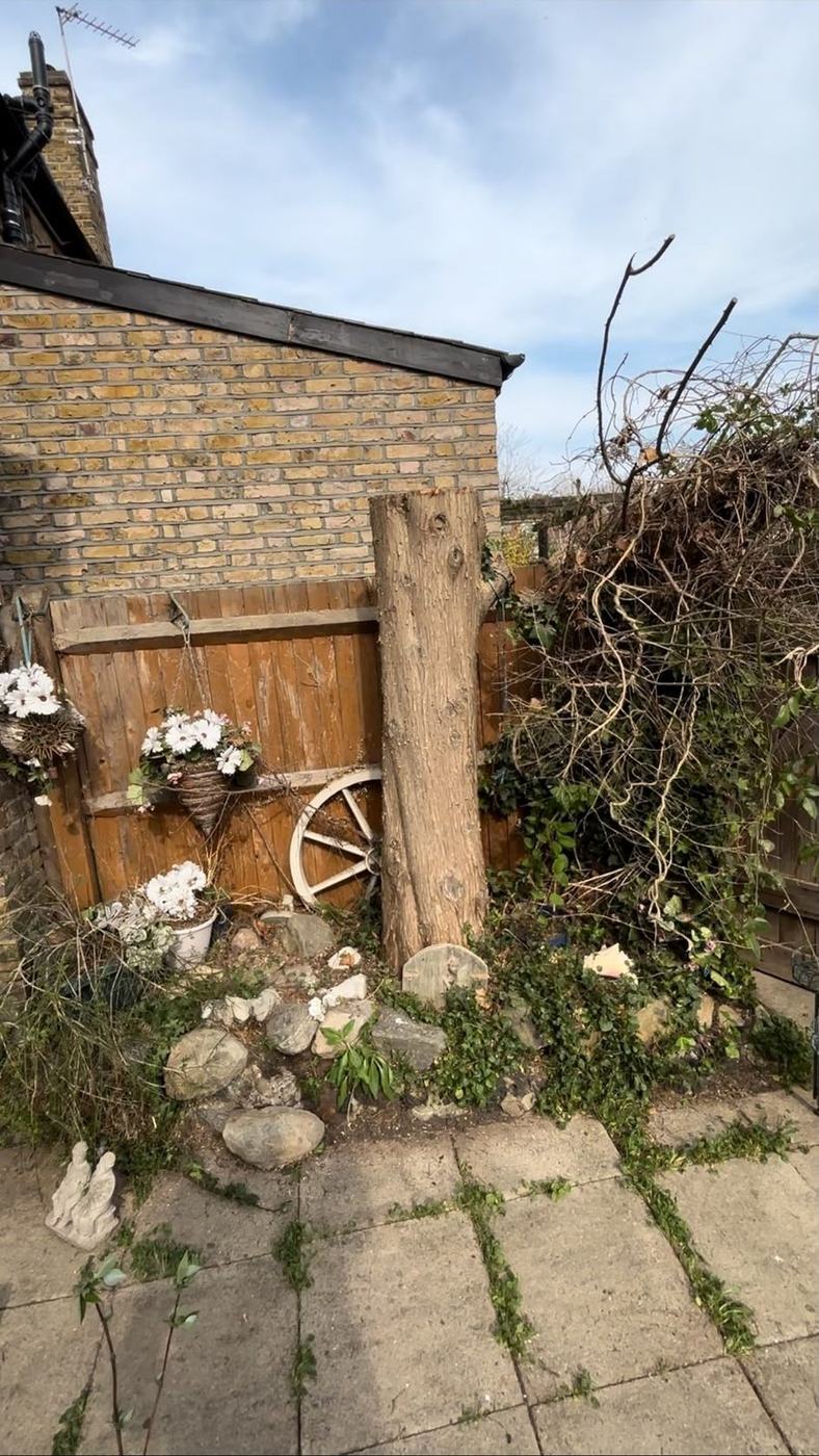 Ivy and brambles cleared off the shed