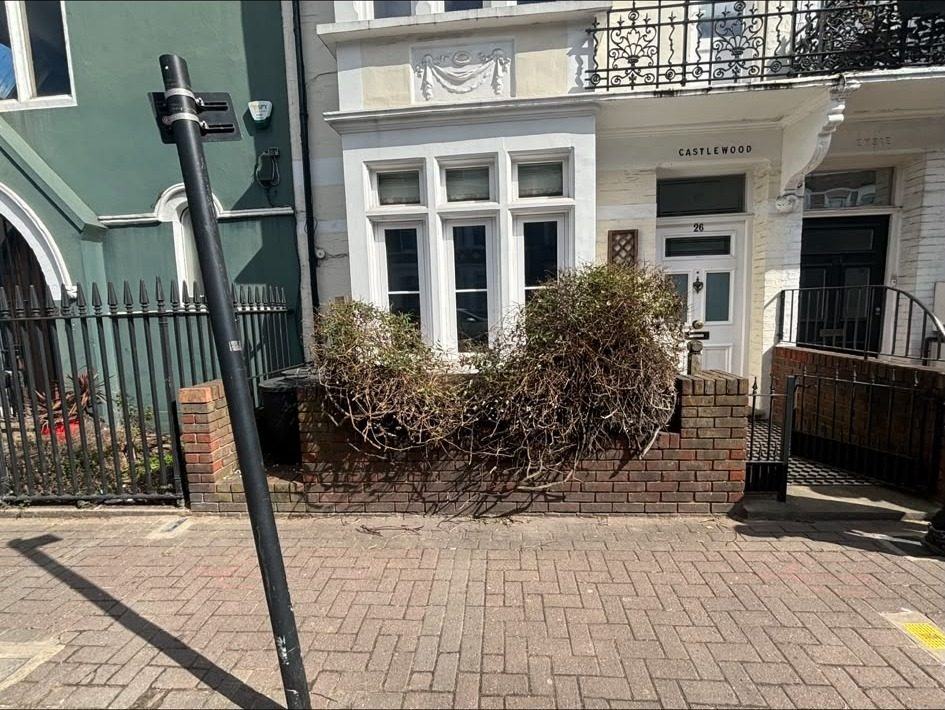 Front shrub cut back off the paving
