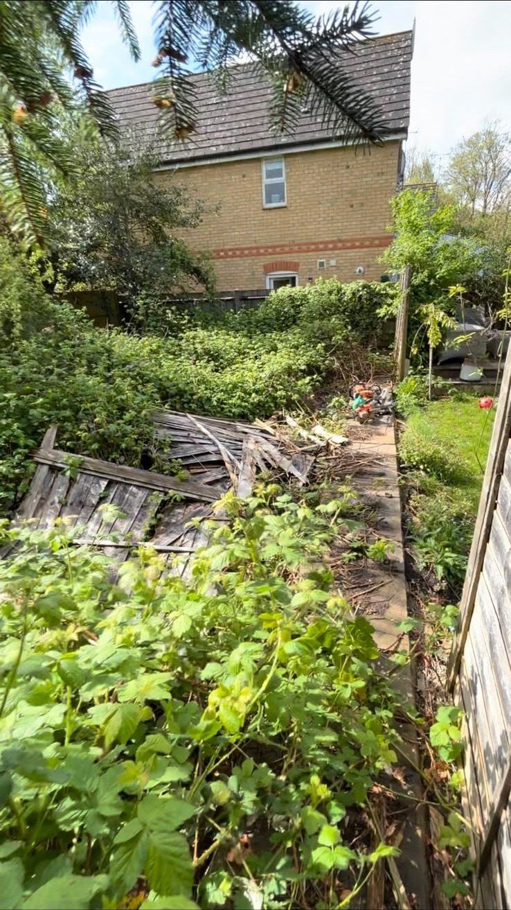 Broken fencing and overgrowth to clear