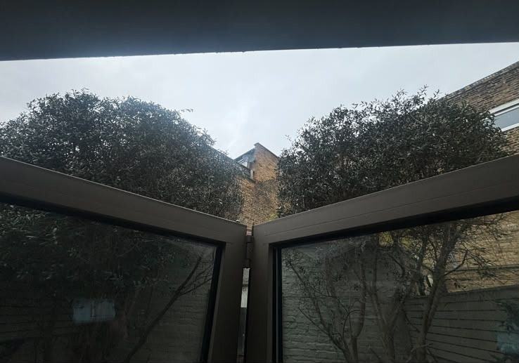 Tall boundary trees seen from the extension