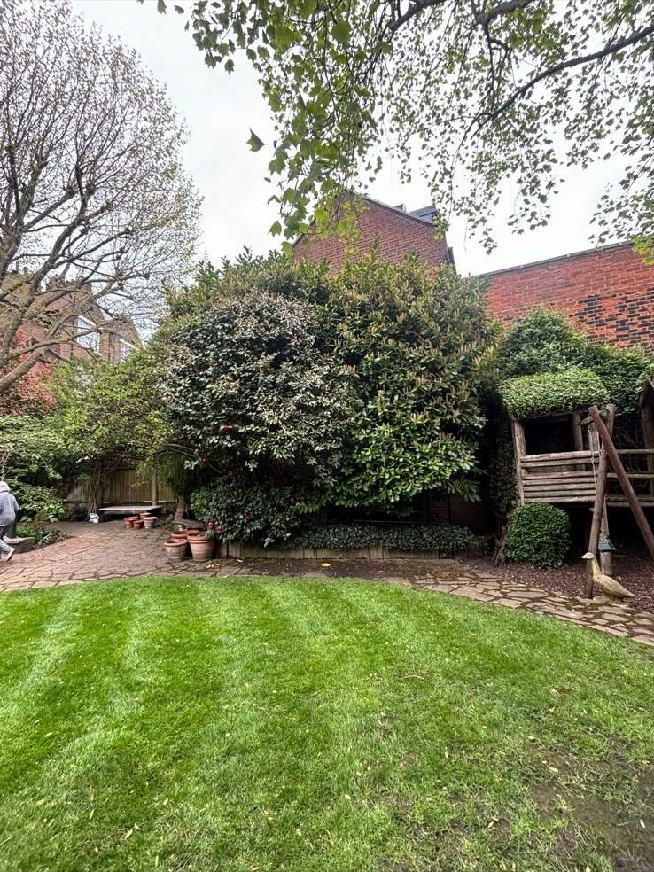 Striped lawn after cutting