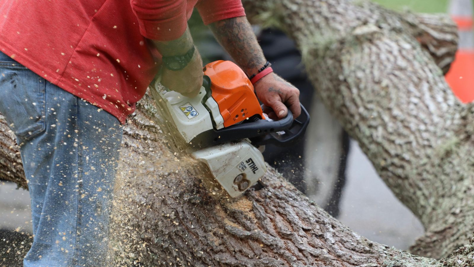 Wood Mulching being carried out on a London property